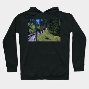 Switzerland - Mountains with train Hoodie